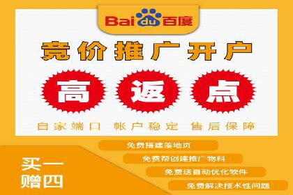 关键词竞价排名实战案例分析